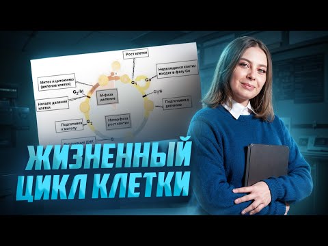 Видео: Жизненный цикл клетки I Биология ЕГЭ для 10 классов I Умскул | Биология ЕГЭ для 10 класса | Умскул