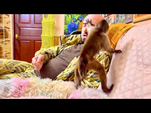 Видео: СМЕШНО ДО СЛЕЗ! Финик объясняет Денису КТО ТУТ ГЛАВНЫЙ, Анфисы не слышно и не видно!)))