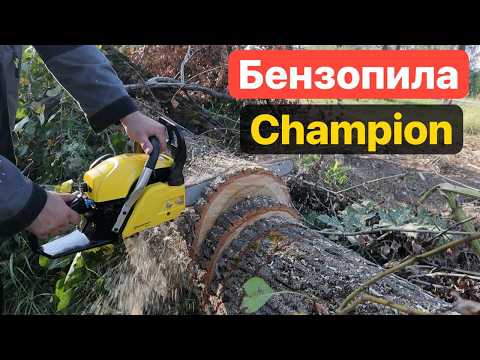 Видео: Тест БЕНЗОПИЛЫ Champion 254-18" PRO