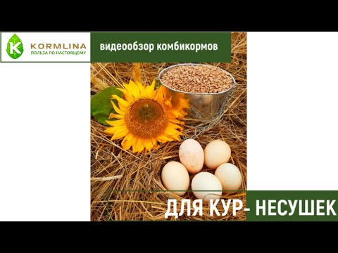 Видео: ВИДЕООБЗОР КОМБИКОРМОВ ДЛЯ КУР - НЕСУШЕК ПК 1-1 И ПК 1-2