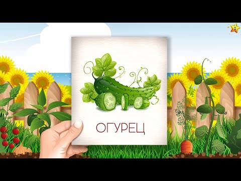 Видео: Овощи - Карточки Домана Развивающие мультики для детей