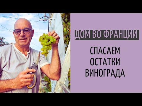 Видео: дом продали| собираем урожай в саду во Франции