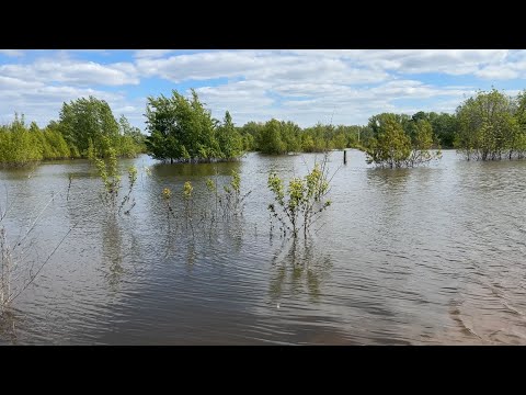 Видео: Урал уровень воды на 05.05.2024 составляет 794 см.Уральск районы города.