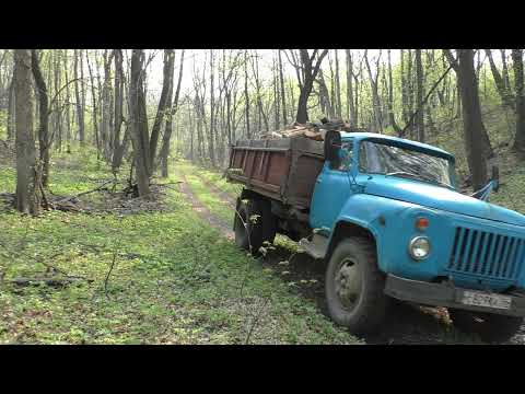 Видео: Мечта дровосека! Валежник!