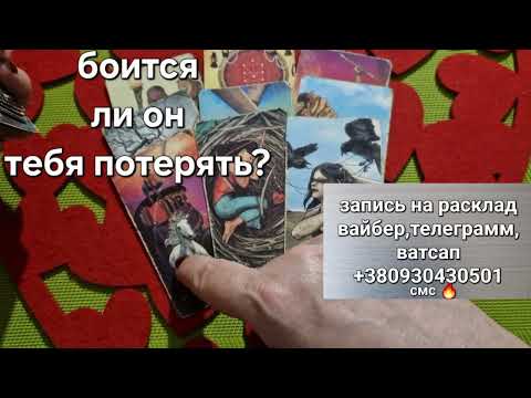 Видео: ❗С Ума Сойти😱⚡Он не Готов с Тобой Расстаться❗💯 ❗️боится ли он ТЕБЯ ПОТЕРЯТЬ #shorts #taroSvetLana