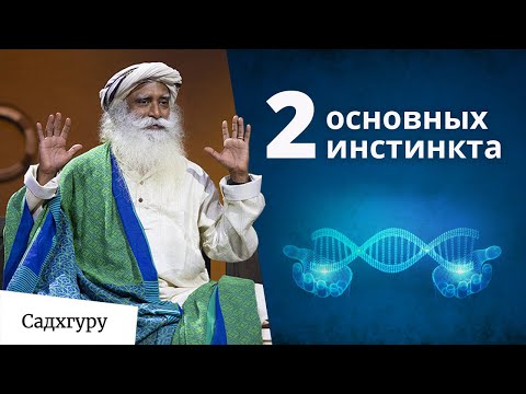 Видео: 2 основных инстинкта человека