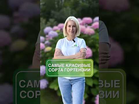 Видео: ТОП-3 необычных гортензии для вашего сада 😍 #сад #цветы #гортензии
