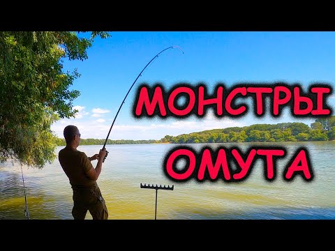 Видео: РЫБАЛКА на реке ДУНАЙ - КАК ловить рыбу в Дунае?! МОНСТРЫ ОМУТА! Ловля сома с берега ОСЁТР СОМ ЖЕРЕХ