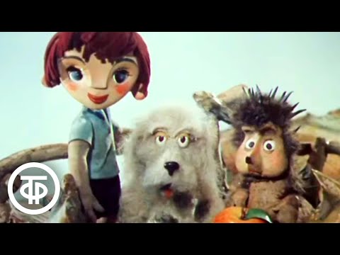 Видео: Еж, пес и мальчик Нико. Мультфильм (1984)