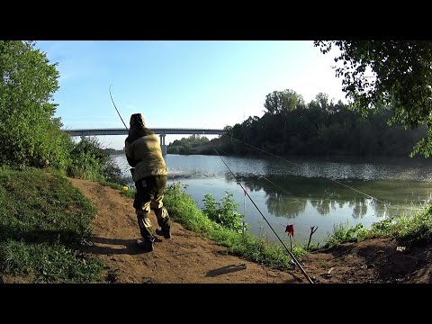 Видео: Ночная рыбалка на Берша и Леща.Ночевка в Уазике.Лещ на Донку.