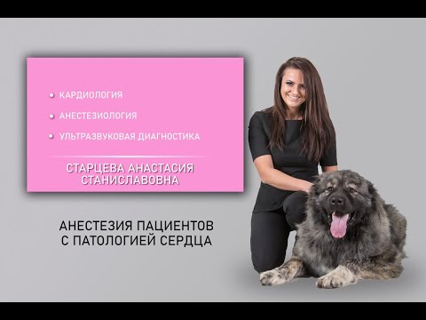 Видео: Анестезия пациента с патологией сердца.