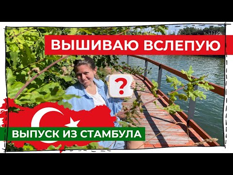 Видео: Вышиваю то, что купила в Турции вслепую