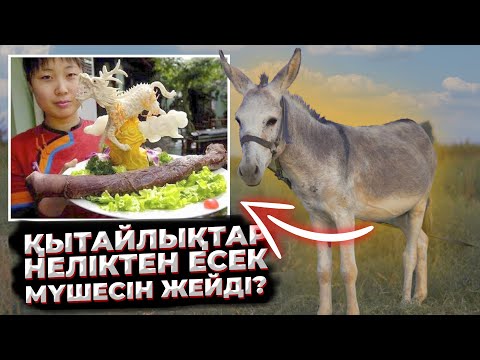 Видео: ЖЫЛАН ЕТІН ЖЕГЕННЕН НЕ ПАЙДА? | ҚЫТАЙЛЫҚТАР НЕГЕ ЕСЕК ЕТІН ЖЕЙДІ?