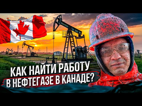 Видео: Хочешь стать нефтяником? Рассказываю, как попасть в индустрию
