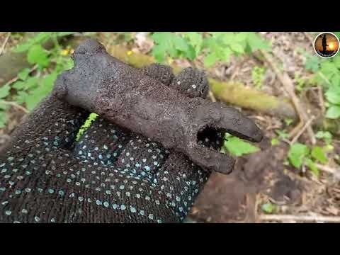 Видео: Лесные находки. 