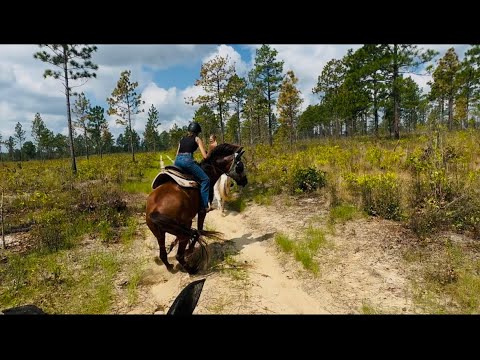 Видео: ОНА УПАЛА?