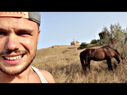 Видео: ЭТО МОЯ ЛУЧШАЯ ИДЕЯ | RD 27