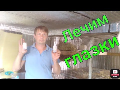 Видео: Что делать если у кролика слезятся глаза. Личный опыт лечения.