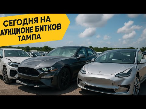 Видео: ЛУЧШИЕ БИТКИ НА СТРАХОВОМ АУКЦИОНЕ В США ТАМПА!!! НОВЫЕ МАШИНЫ ПО ПРИЯТНЫМ ЦЕНАМ!