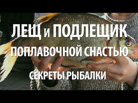 Видео: КАК ЛОВИТЬ ЛЕЩА на ПОПЛАВОЧНУЮ СНАСТЬ с БЕРЕГА. СЕКРЕТЫ РЫБАЛКИ на ЛЕЩА и ПОДЛЕЩИКА