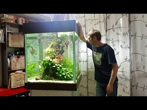 Видео: #Аквакубик. Баланс pH/KH. Идеальная концентрация CO2