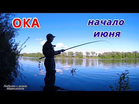 Видео: КЛЁВ НАЗЛО ЧЁРНОЙ КОШКЕ. Рыбалка на Оке на боковой кивок. Рассказ о ТРОФЕЙНОЙ ЩУКЕ.