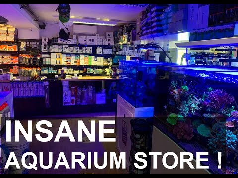Видео: Лучший магазин аквариумов с морской водой — консультации по аквариумистике