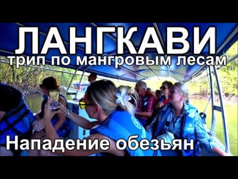 Видео: трип по МАНГРОВЫМ лесам острова Лангкави Малайзия