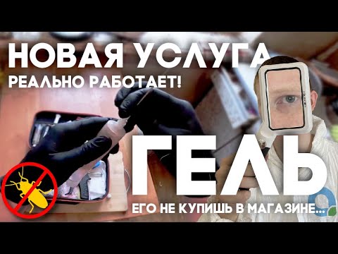 Видео: Это Погубило ВСЕХ ТАРАКАНОВ в Доме за 22 ЧАСА 🔥