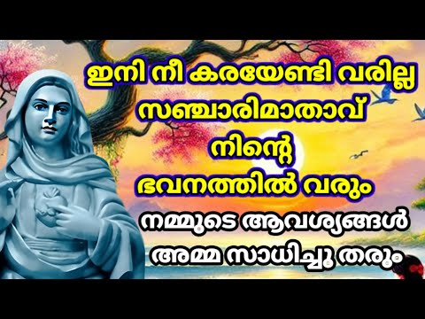Видео: Тебе больше не придется плакать, мать путешественника придет к тебе домой и выполнит наши нужды #pov