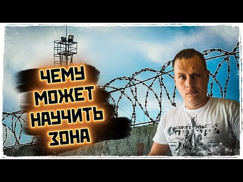 Видео: ЧЕМУ УЧИТ ЗОНА