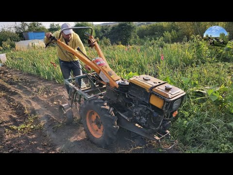 Видео: копаєм картошку 2024. Мотоблок кентавр