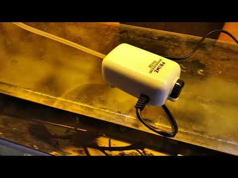 Видео: компрессор PRIME | самый дешёвый из тихих