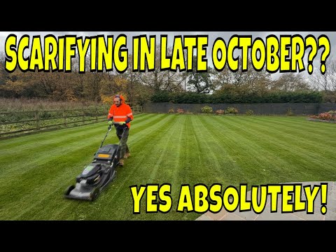 Видео: Уход за газоном в октябре: секреты скарификации