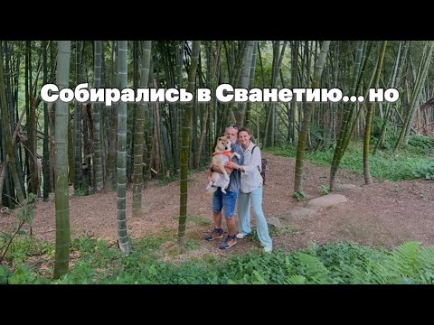 Видео: Погода всё изменила! Остались в Батуми/рынок/ ботанический сад #путешествиенамашине #travelwithdog 