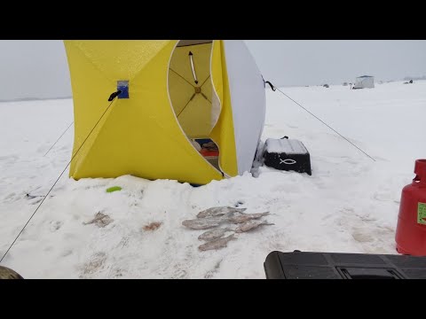 Видео: рыбалка с ночёвкой в Дубне Иваньковское водохранилище  [шлагбаум] 2022 г.