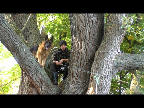 Видео: И черви целы и рыбы сыты! Осенняя рыбалка