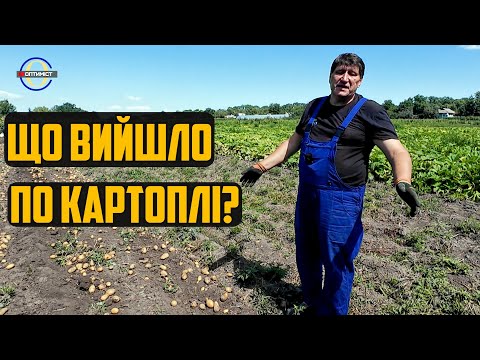 Видео: Без картоплі не залишились! Картоплекопалка Петрика + Готуюсь до оранки нові текрони для ПЛН