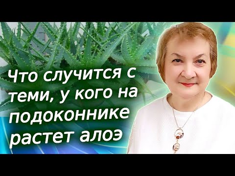 Видео: Вот, что случится с теми, у кого дома растет алоэ