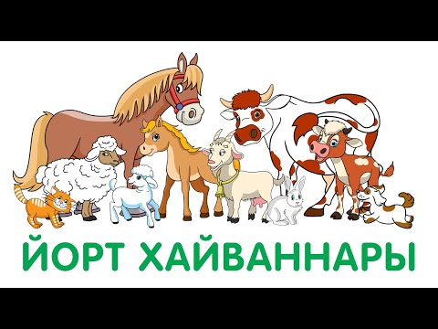 Видео: Йорт хайваннары / Домашние животные /Видео для детей / Видео для детей на татарском языке