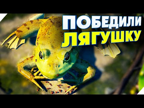 Видео: МУРАВЬИ СЪЕЛИ ЛЯГУШКУ! КОЛОНИЯ ОГНЕННЫХ МУРАВЬЕВ ВОИНОВ - Empires of the Undergrowth