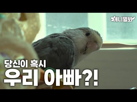 Видео: Ты знаешь моего папу?