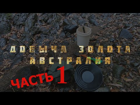 Видео: ДОБЫЧА ЗОЛОТА В АВСТРАЛИИ // ВЫСОХШИЙ РУЧЕЙ - ЧАСТЬ 1 // КВИНСЛЕНД