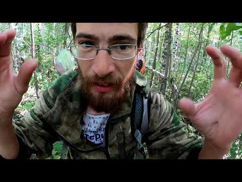 Видео: Золото Ермака - поиск на Урале в болоте  у реки Чусовой