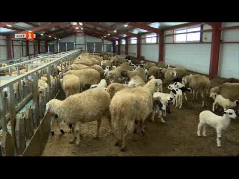 Видео: Бразди  – 06.03.2021 по БНТ