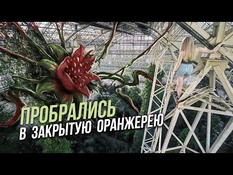 Видео: ПРОБРАЛИСЬ в закрытую оранжерею | Самая большая ЗАКОНСЕРВИРОВАННАЯ оранжерея в мире