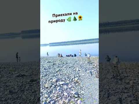 Видео: Такую красоту я еще не видел 😱 #shorts #nature #glitch #matrix #forest #river