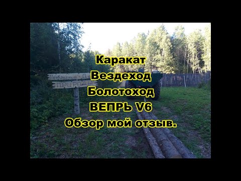 Видео: Вепрь V6. Обзор Дружка. Вездеход, болотоход, каракат. Вывожу брёвна на каракате.