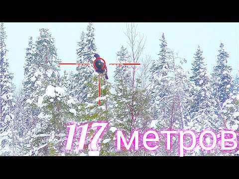 Видео: ИНТЕРЕСНЫЙ СЛУЧАЙ / ОХОТА НА ГЛУХАРЯ С МЕЛКАШКОЙ / НА ОДНОМ БОЛОТЕ СОБРАЛИСЬ НЕСКОЛЬКО КРАСАВЦЕВ.