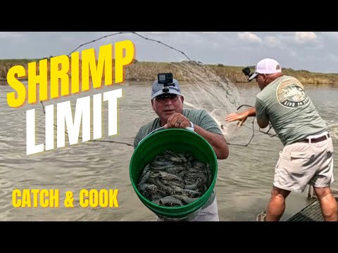 Видео: Быстрый способ приготовления прекрасных креветок (поймать и приготовить) Креветки, приготовленные...